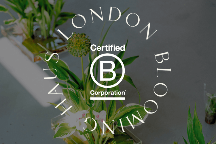 Blooming Haus® is Europe’s FIRST B Corp® Certified Event Company & Florist!