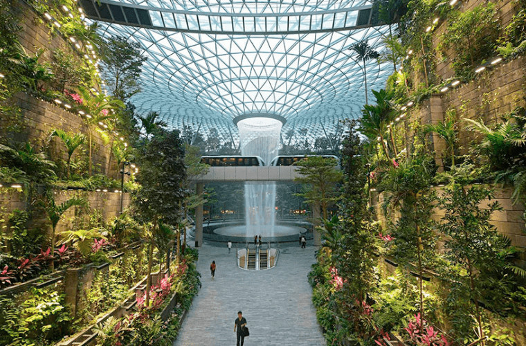 Biophilia Hypothesis – What Is It? And Why Does it Matter in Design?