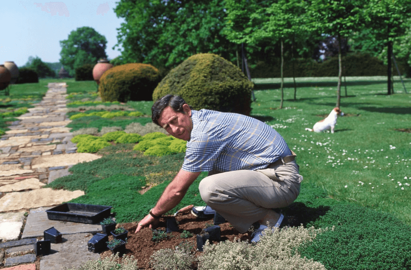 10 Reasons King Charles III Is Our Most Green-Fingered Monarch to Date